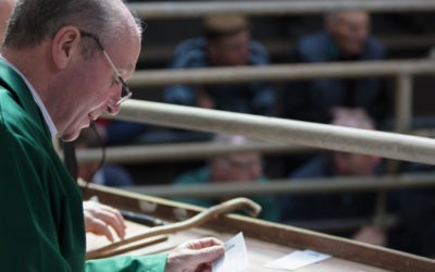 Aurivo announces temporary suspension of livestock sales