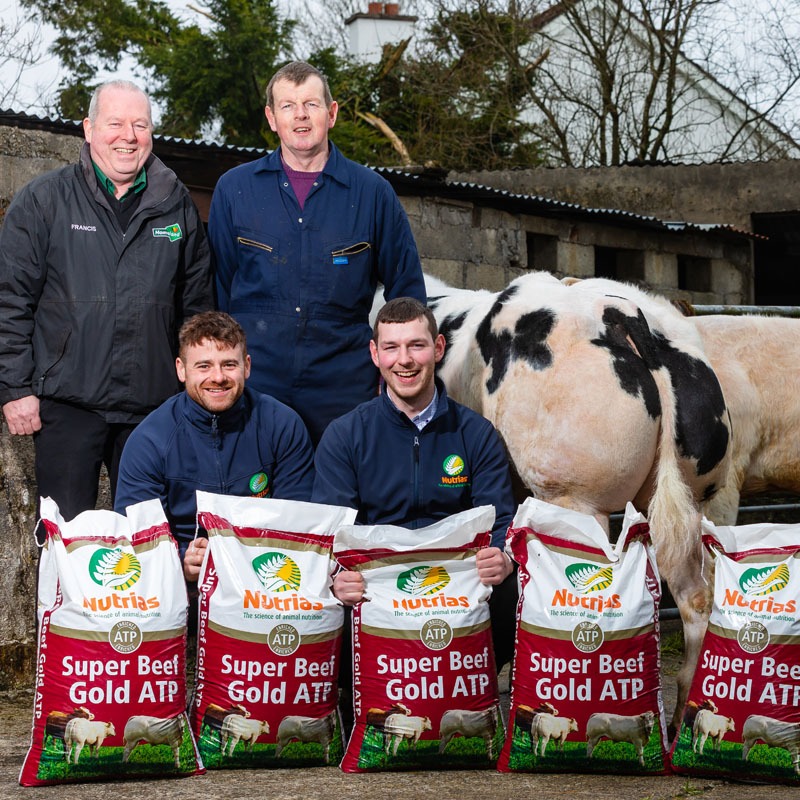 “I’m delighted with the product. My cattle are turning out consistent performance.”