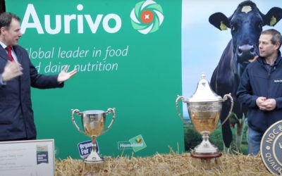 Homecoming of the NDC and Kerrygold Milk Quality Award 2020