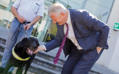 Irish Guide Dogs for the Blind named as Aurivo charity partner 2021