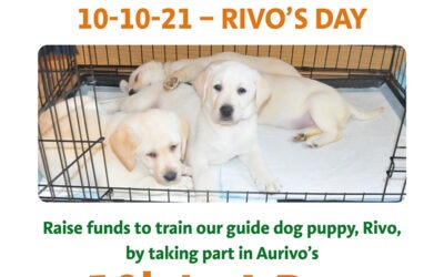 Aurivo 10k In A Day for Irish Guide Dogs for the Blind