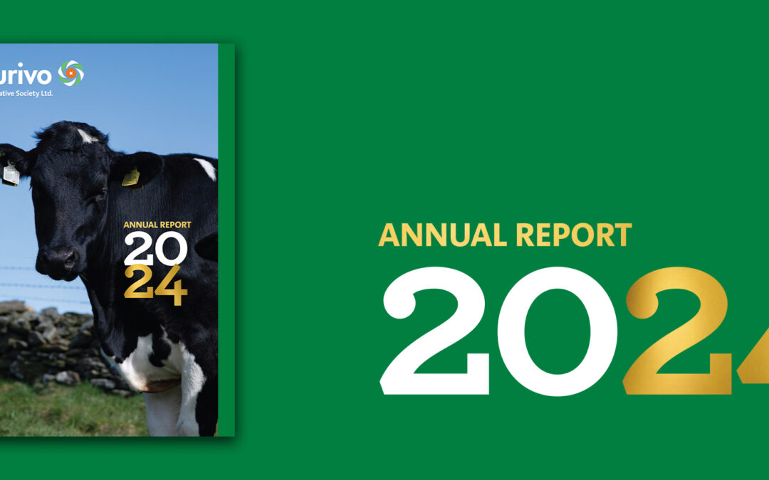 Full year financial results for the year ended 31 december 2024