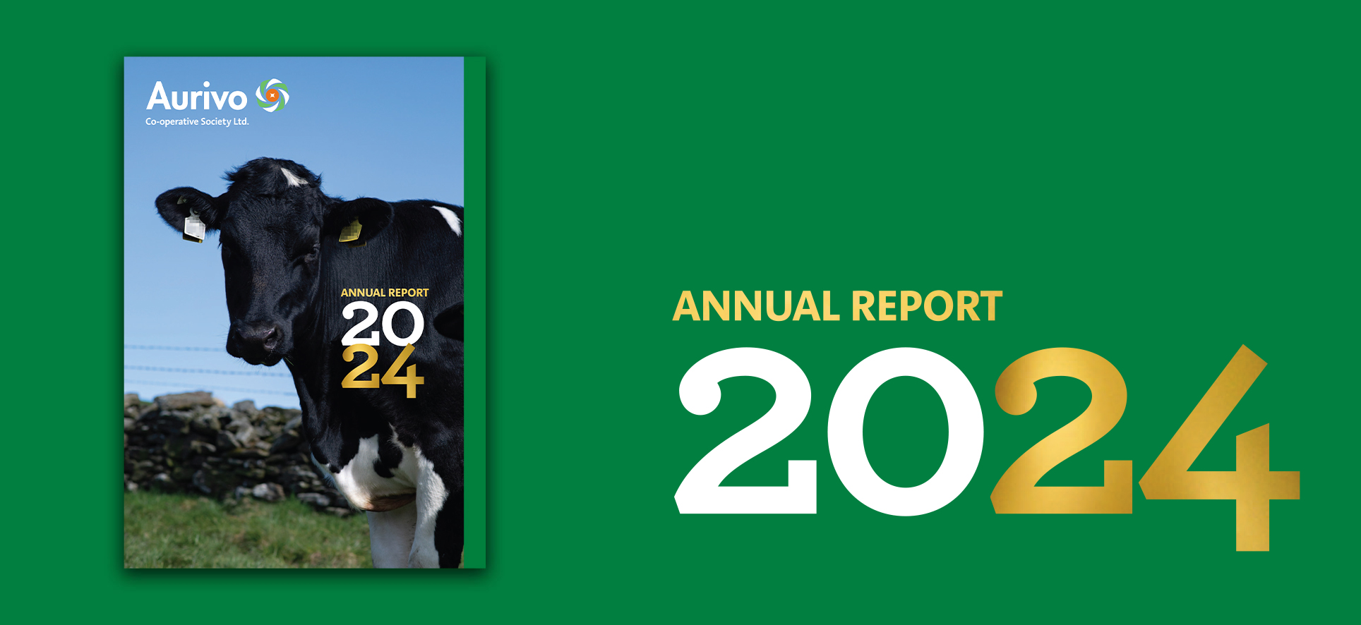 Annual report 2024 web press release banner